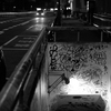 代官山