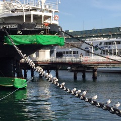 むかし撮った写真