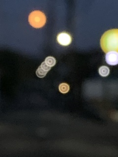 むかし撮った写真