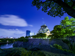 Midnight Blue Osaka