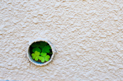 I found a spring