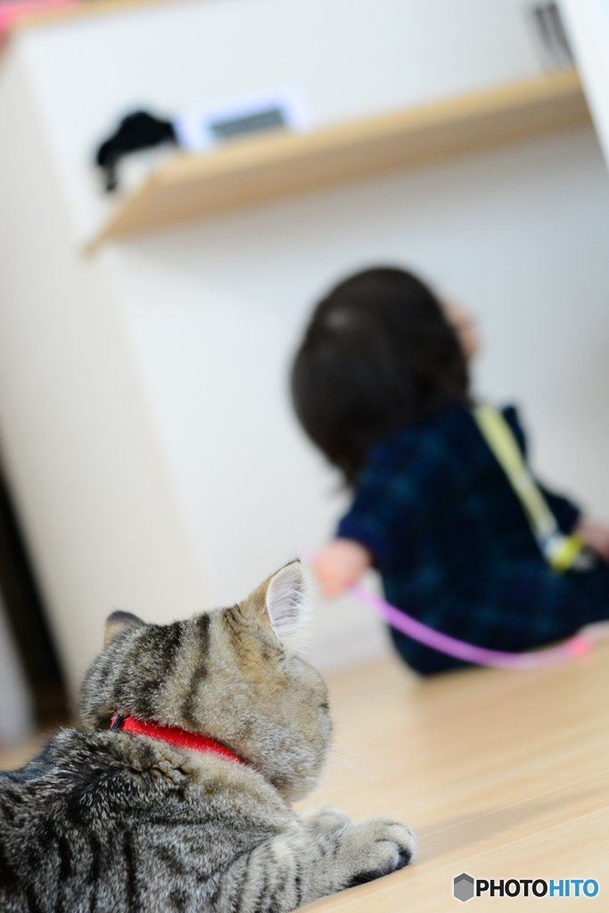 見張り番