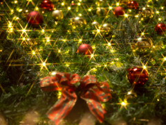 クリスマス1