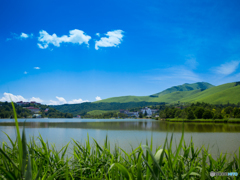 白樺湖2