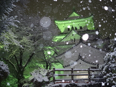 雪の大垣城