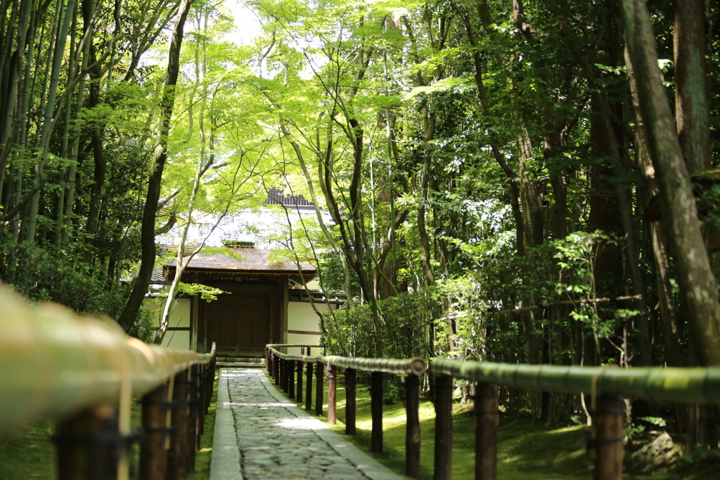 高桐院