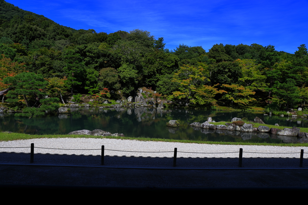 こんな庭が欲しい