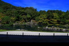 こんな庭が欲しい