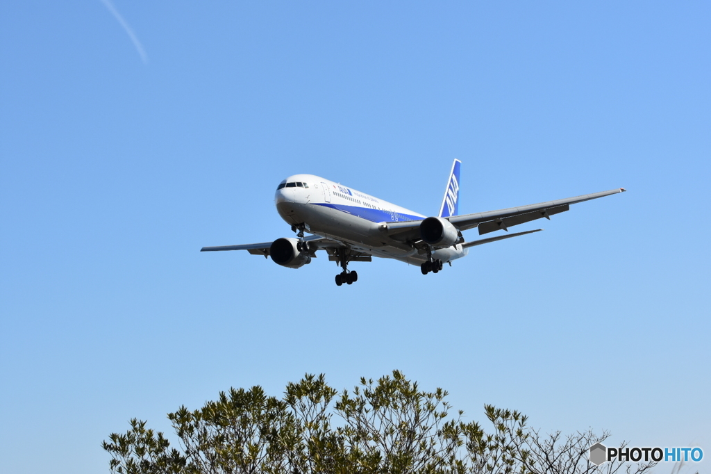 高知空港