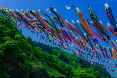 空を泳ぐ
