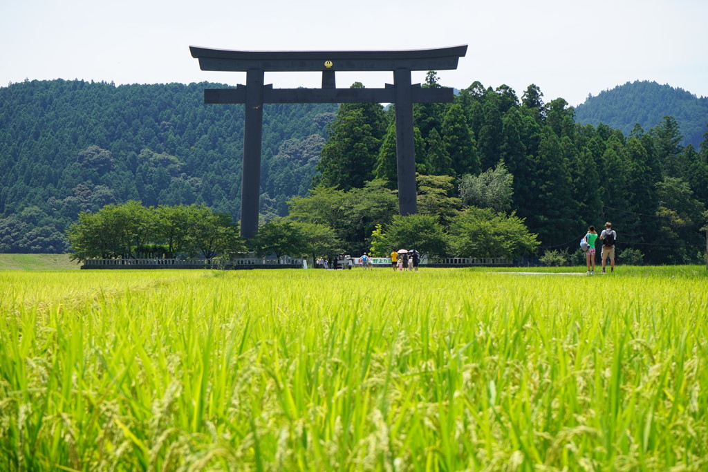 巨大鳥居