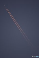 MYJ20151201_0028