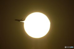 MYJ20160324_0188