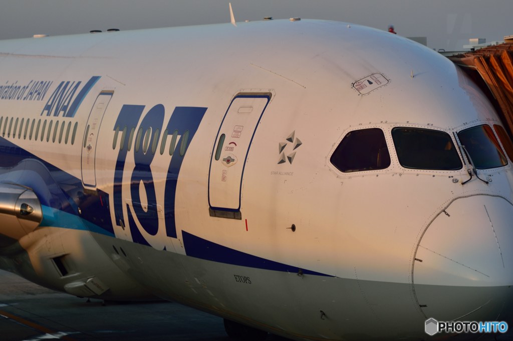 MYJ20160303_0001
