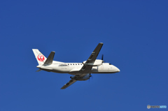 MYJ20151214_0091