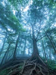 神の山 両神山