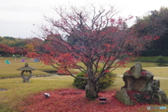 岡山後楽園