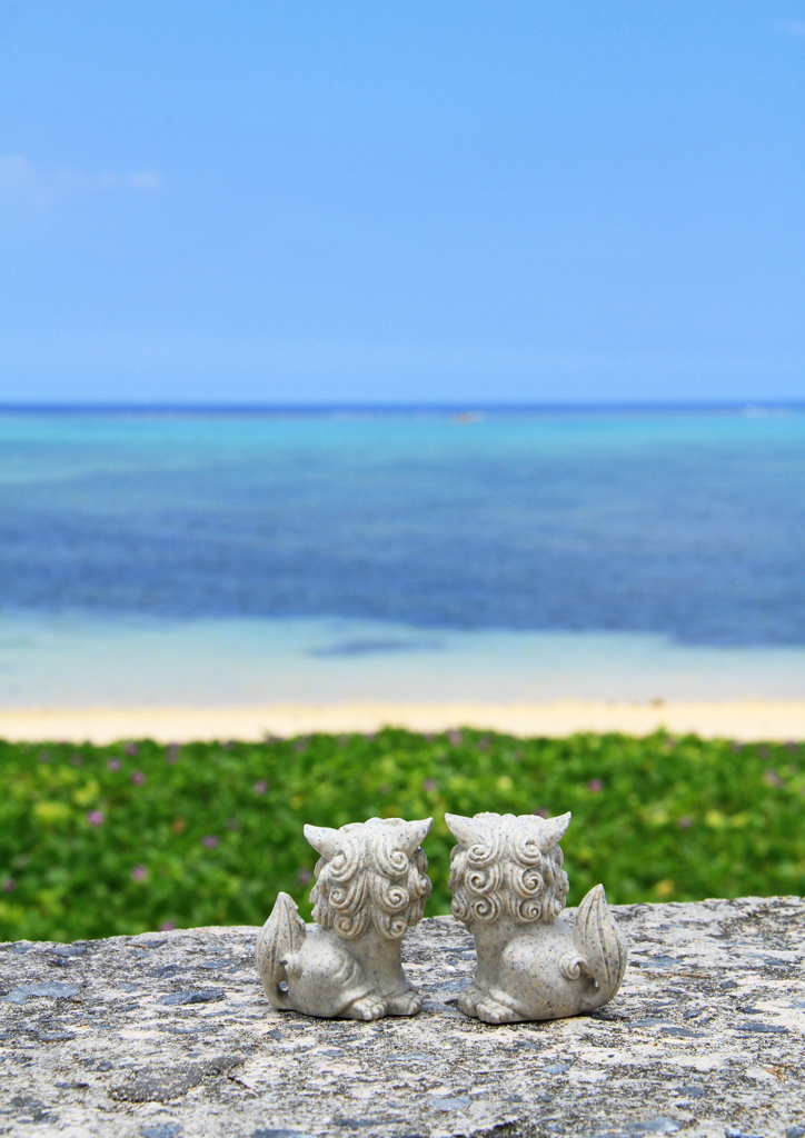沖縄の青い海を見つめるシーサーカップル By Usg Id 写真共有サイト Photohito
