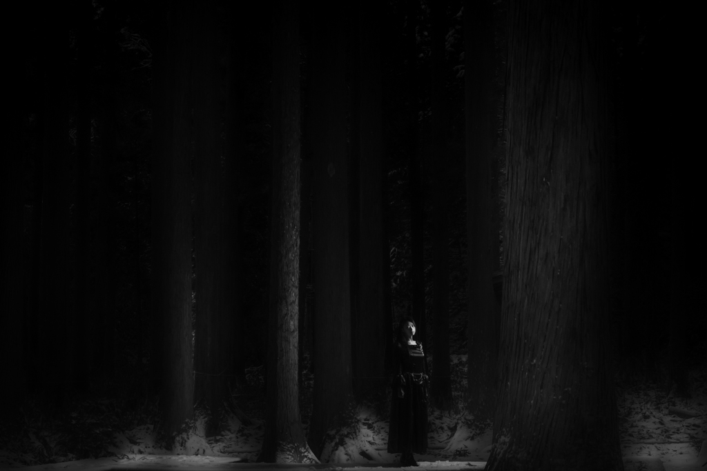 Black Landscape Portrait