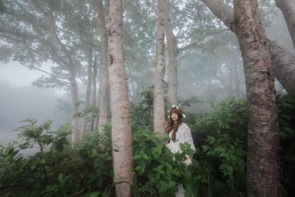 霧ポートレート