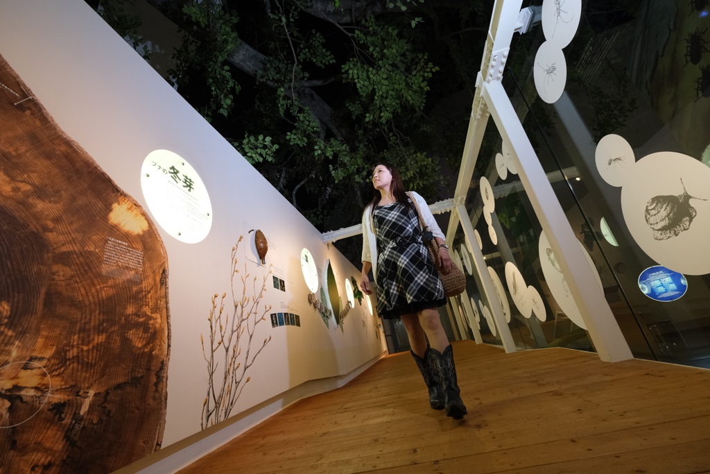 白神山地ビジターセンター