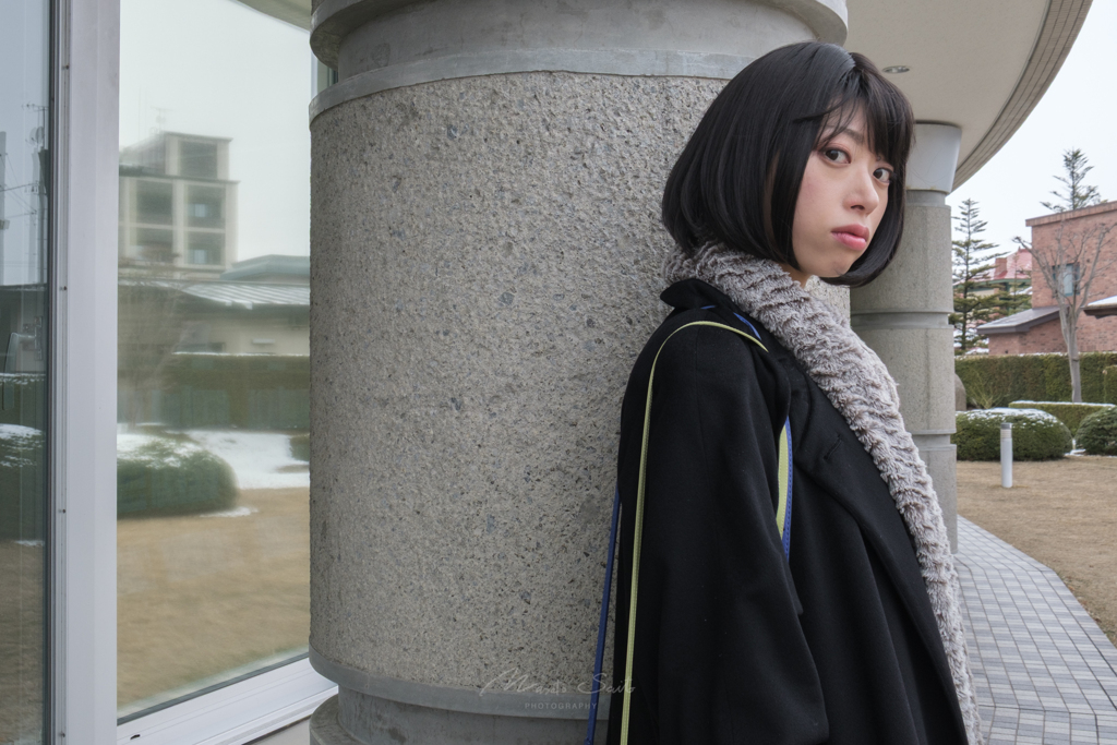 X-T3 プロネガスタンダード