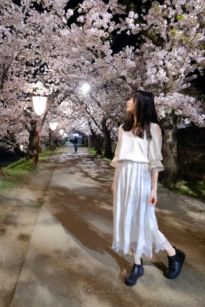 夜桜