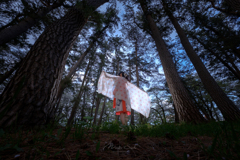 ねぶた衣装が舞う