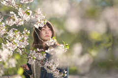 プロネガスタンダード