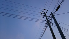 散歩中