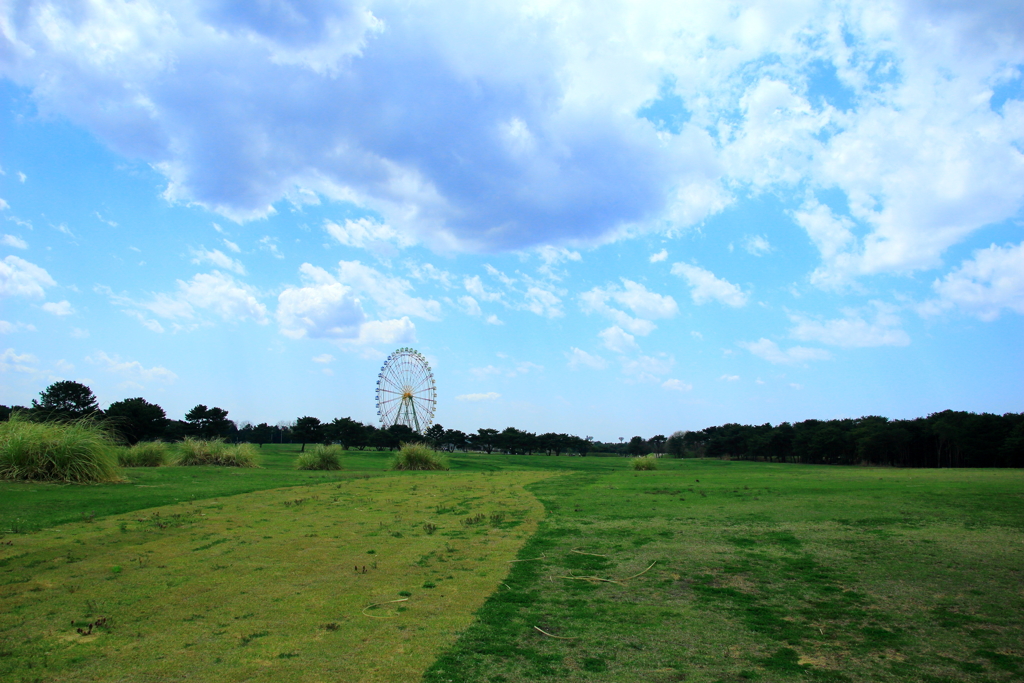 天気は良かったですが