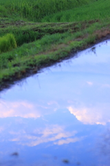 雨上がり