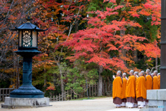 高野山