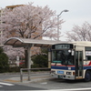バスと桜
