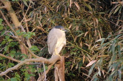 やっと顔確認できました