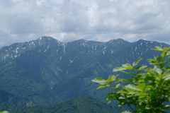 2019.6.25 鬼が面山 ヒメサユリ登山_10
