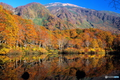 鳥海山 鶴間池 1_ 2001.10