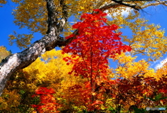 妙高 火打山_2002.10