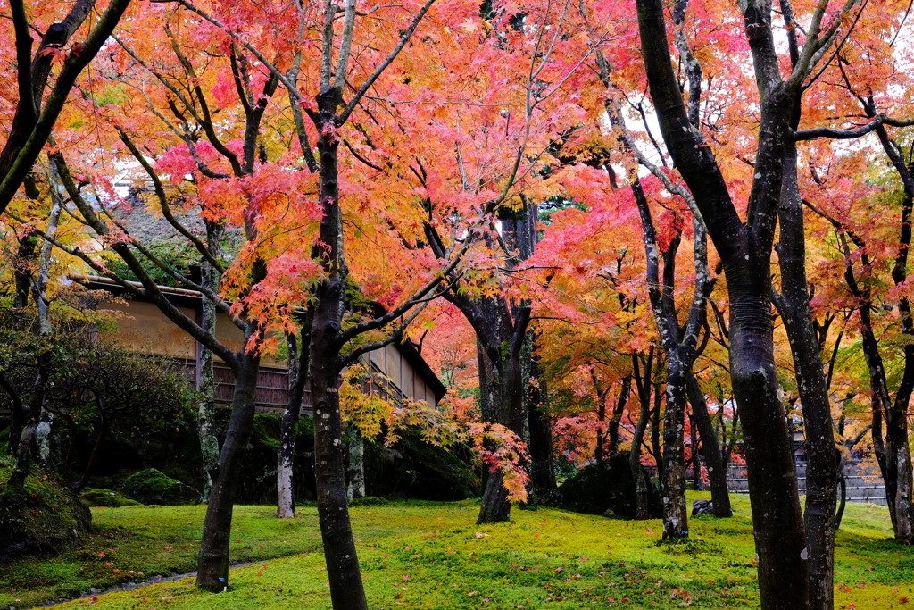 箱根美術館_1