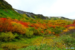 高原沼巡り_8