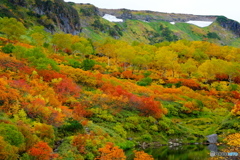 高原沼巡り_9