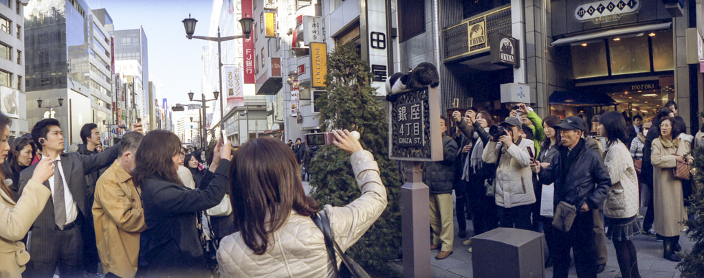 銀座寸景