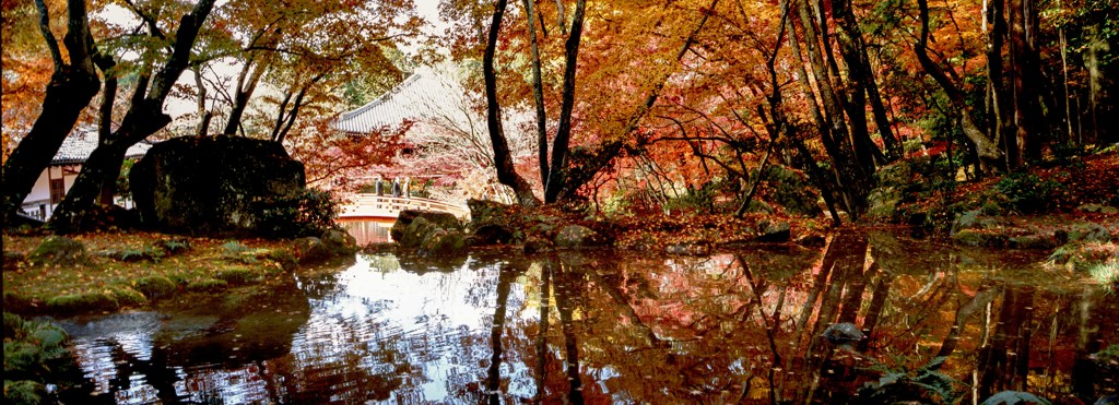 醍醐寺2