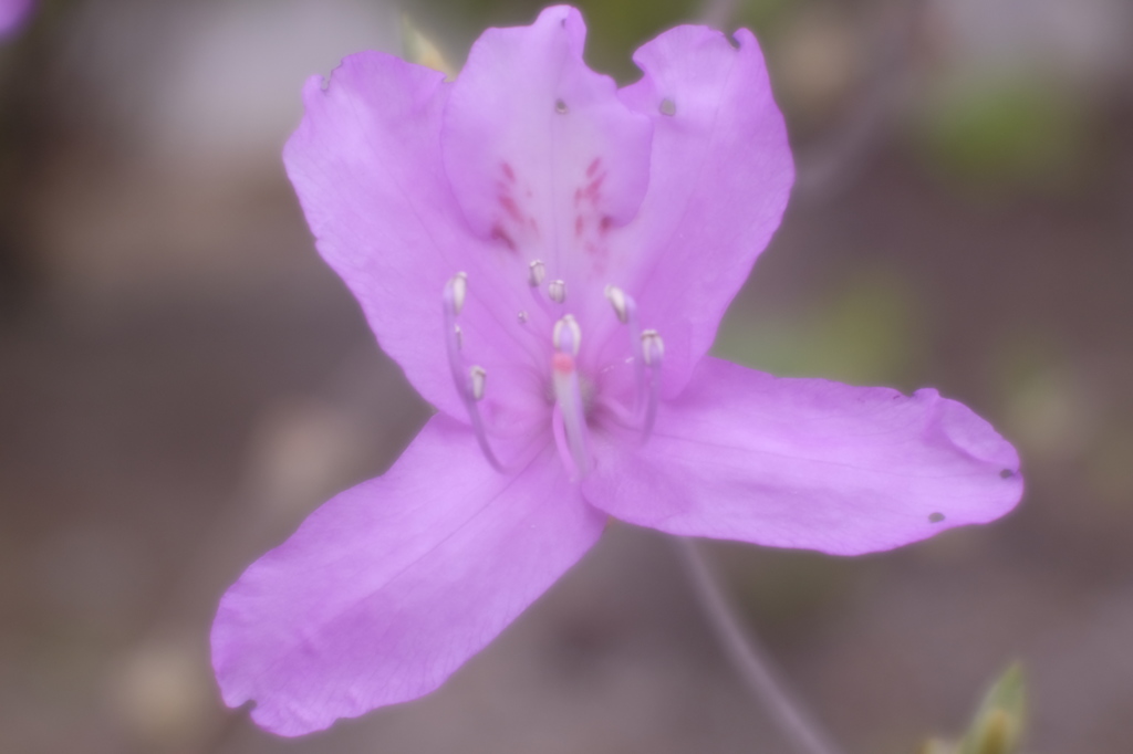 _DSF8587