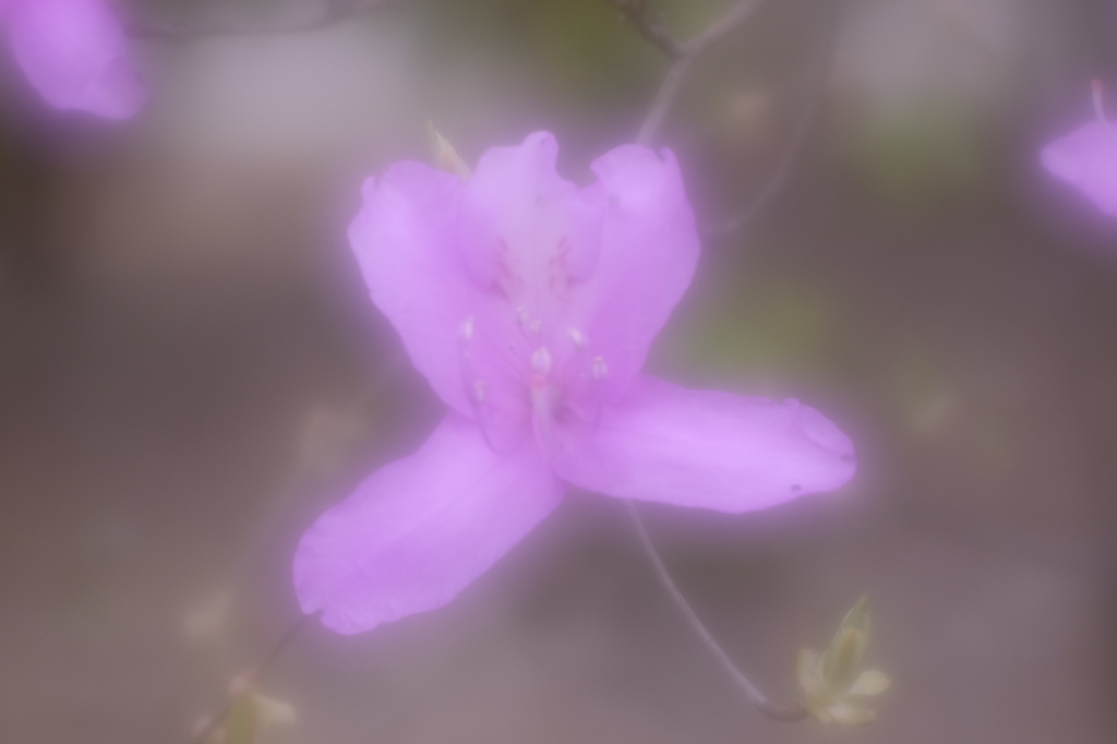 _DSF8589