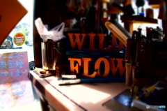 ？　ＷＩＬＤ　ＦＬＯＷ　？