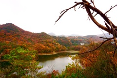 東条湖