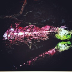 弾丸で夜桜
