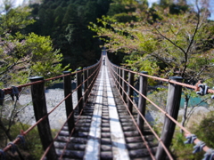 吊り橋ハンティングはじめました