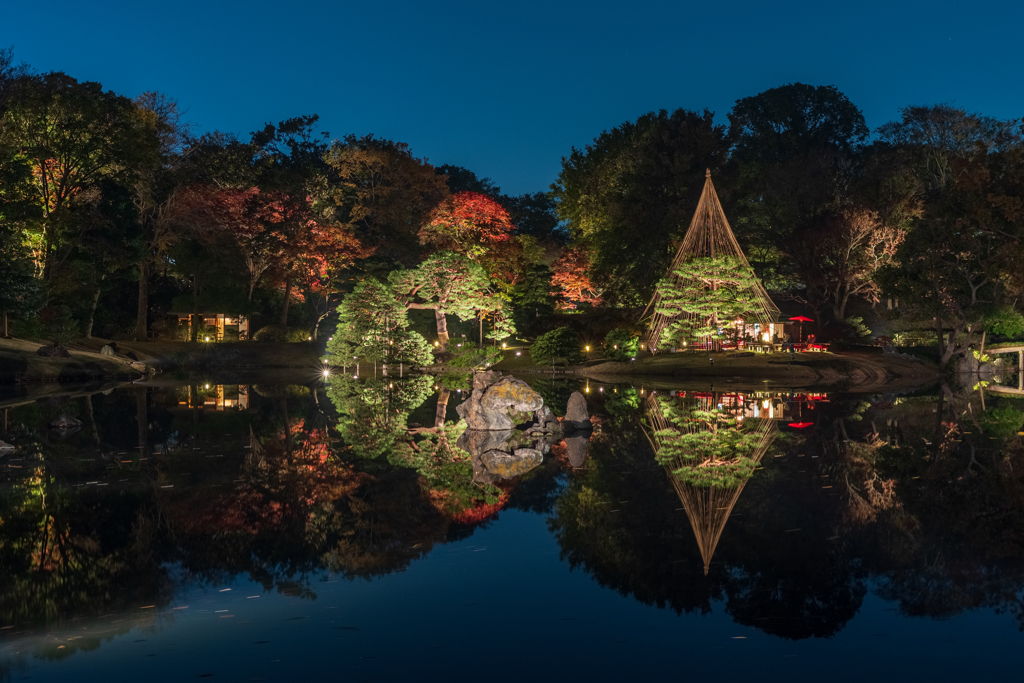 もう一枚　六義園のライトアップ